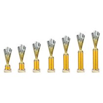 Rodeo Tube Trophy | Gold & Silver | 365mm