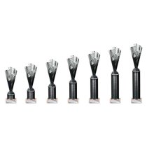 Rodeo Tube Trophy | Black & Silver | 365mm