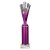 Rodeo Tube Trophy | Purple & Silver | 315mm - TR25609E