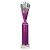 Rodeo Tube Trophy | Purple & Silver | 340mm - TR25609F