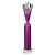 Rodeo Tube Trophy | Purple & Silver | 365mm - TR25609G