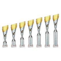 Predator Tube Trophy | Silver & Gold | 410mm