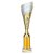 Predator Tube Trophy | Gold & Silver | 310mm - TR25589C