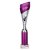 Predator Tube Trophy | Purple & Silver | 335mm - TR25588D