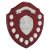 Mountbatten Annual Shield | Rosewood | 11yr | 355mm - SH25228D