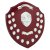 Mountbatten Annual Shield | Rosewood | 21yr | 455mm - SH25228F