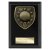 Cobra Plaque Golf Trophy | Black | 125mm - PL24210B
