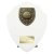Cobra Shield Golf Trophy | Nearest the Pin | White| 175mm - PT24211D