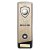 Prime Heavyweight Golf Trophy | Hole in One | Gold | 220mm - PM25485C