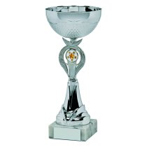 Silver Bowl Trophy Cup | 275mm