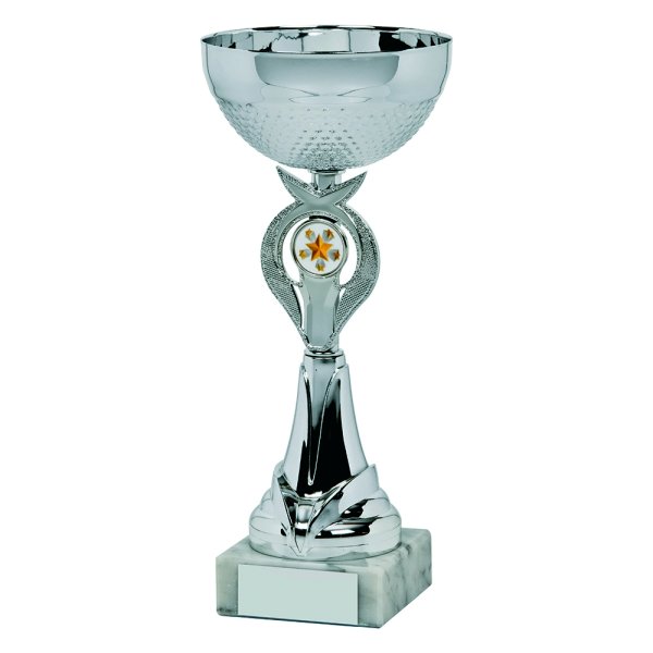Silver Bowl Trophy Cup | 275mm