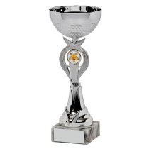 Silver Bowl Trophy Cup | 250mm