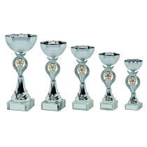 Silver Bowl Trophy Cup | 235mm