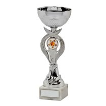 Silver Bowl Trophy Cup | 210mm