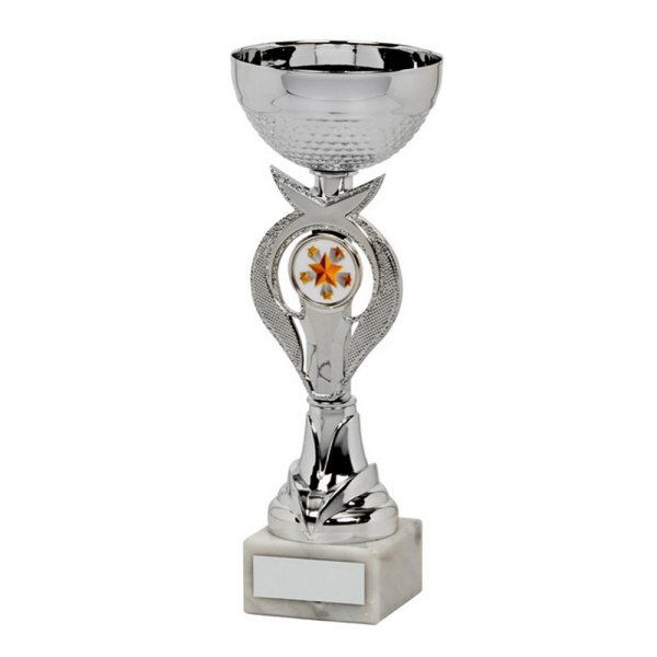Silver Bowl Trophy Cup | 210mm