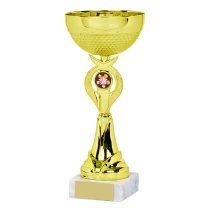 Gold Bowl Trophy Cup | 275mm