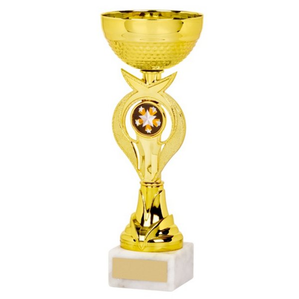 Gold Bowl Trophy Cup | 210mm