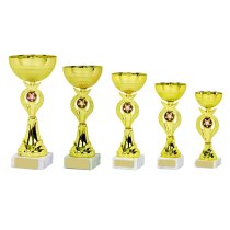 Gold Bowl Trophy Cup | 210mm