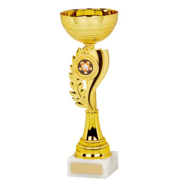 Champions Trophy Cup | Gold & Black | 255mm
