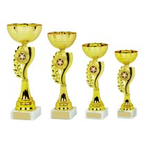 Champions Trophy Cup | Gold & Black | 230mm