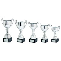 Classic Silver Presentation Cup | 250mm