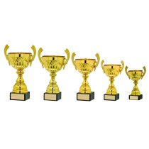 Legend Presentation Cup | with Handles | Gold | 355mm