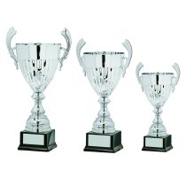 Balthazar Presentation Cup | with Handles | Silver | 490mm
