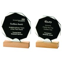 Octagon Crystal Trophy | Wooden Base | 210mm