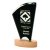 Sail Crystal Trophy | Wooden Base | 250mm - T4576