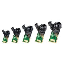 The Marauders Football Trophy | Green Shirt | Heavyweight | Black & Gold | 245mm