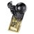 The Marauders Football Trophy | Player of the Year | Black & Gold | 280mm - PX26108E