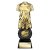 Intensity Football Trophy | Player of the Match | Gold | 260mm - PT25055A