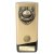 Prime Cobra Football Trophy | Parents Player | Gold | 160mm - PA25108A