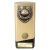 Prime Cobra Football Trophy | Players Player | Gold | 160mm - PA25110A