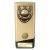 Prime Cobra Football Trophy | Player of the Year | Gold | 160mm - PA25111A