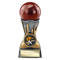Digital Cricket Trophy | Antique Silver & Gold | 125mm