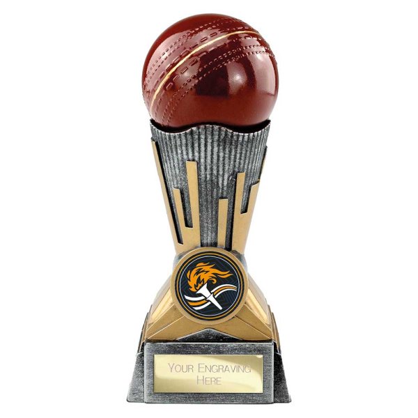 Digital Cricket Trophy | Antique Silver & Gold | 150mm