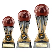 Digital Cricket Trophy | Antique Silver & Gold | 150mm