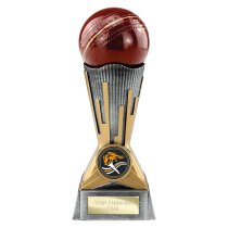 Digital Cricket Trophy | Antique Silver & Gold | 175mm