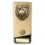 Prime Cobra Cricket Trophy | Gold & Black | 160mm - PA24209A