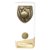 Prime Cobra Cricket Trophy | White & Gold | 160mm - PW24209A