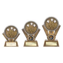 Apex Ikon Darts Trophy | Gold & Silver | 180mm
