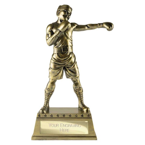 The Classic Boxing Trophy | 270mm