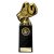 Fusion Viper Legend Boxing Glove Trophy | 205mm - TH26538E