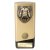 Prime Cobra Martial Arts Trophy | Gold & Black | 160mm - PA24201A