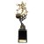 Innov8 Running Trophy | Gold & Black | 250mm - TR26605C