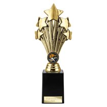 5 Star Trophy | Gold | 245mm