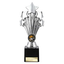5 Star Trophy | Silver | 220mm