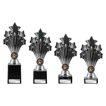 5 Star Trophy | Black and Silver | 245mm