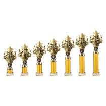 5 Star Tube Trophy | Gold 365mm
